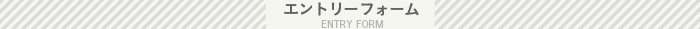 エントリーフォーム